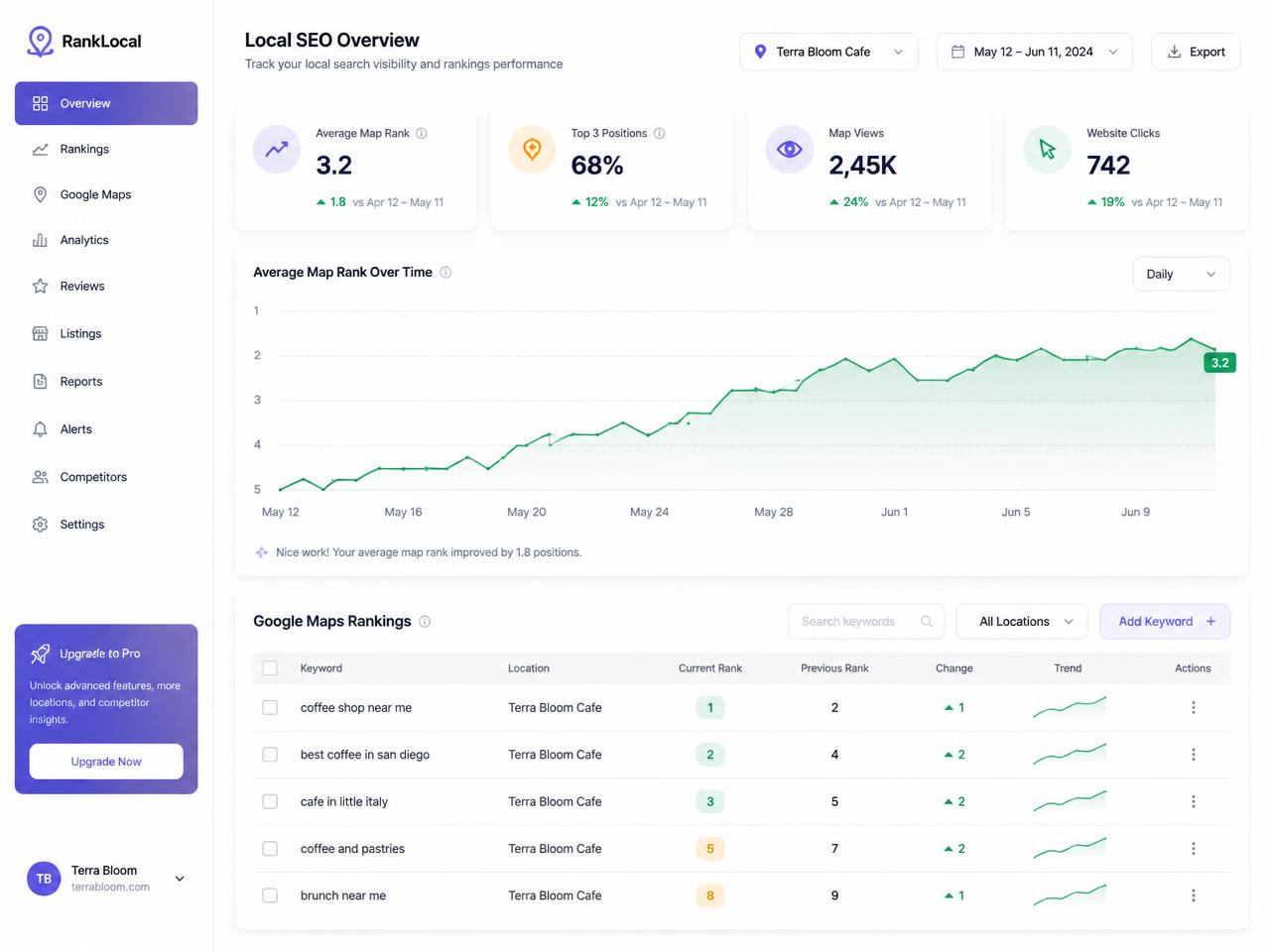 Vizogen local SEO dashboard showing Google Maps ranking growth